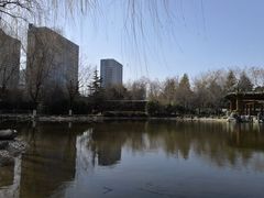 -木塔寺遗址生态公园