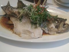 -至潮餐厅精致粤菜·活鲈鱼·走地鸡(珠江新城店)
