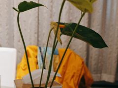 -眉州东坡(通州店)