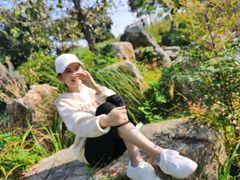 -大塘金香草谷