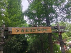 -东平国家森林公园