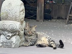 -万松老人塔