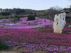 -棒棰岛宾馆景区