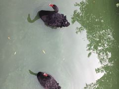 -无锡动物园·太湖欢乐园