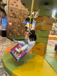 -卡通尼·Safari非洲探索乐园·生日会(金桥国际商业广场店)