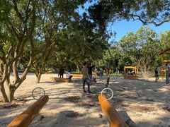 -广州白江湖森林公园