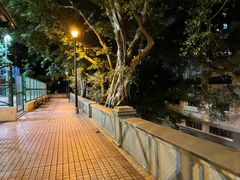 -香港佐治五世纪念公园