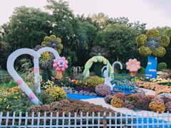 -上海共青森林公园