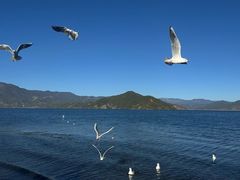 -丽江泸沽湖景区