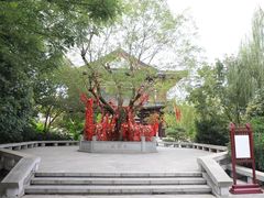 -华清宫景区