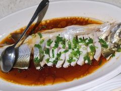 -金美华轩(东方路齐鲁店)