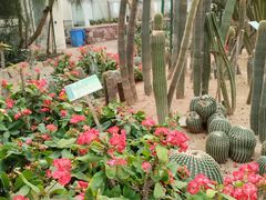 -石家庄市植物园