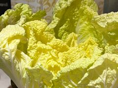 -芸山季·云南野生菌火锅(人民广场来福士店)