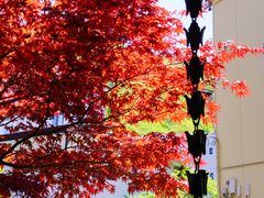 -花钟亭花屋日式旅馆