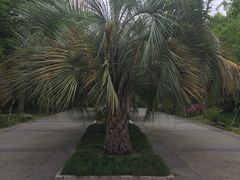 -苏州河梦清园环保主题公园