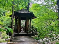 -关门山森林公园