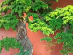 -阿伟海鲜楼·福建菜(延寿店)