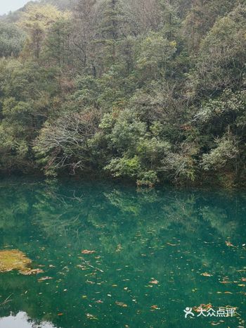 温润惬意，独享这份悠然。就是天气不是太好