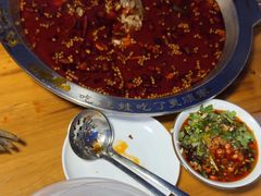 -老表牌·蛙蛙鸡冷锅鱼(成都东站店)