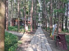 -同里国家湿地公园