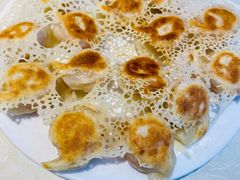 西红柿鸡蛋饺子-新洪记·丽久饭店(铁西店)