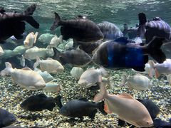-成都浩海立方海洋公园