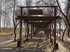 -黄沙古渡原生态旅游区