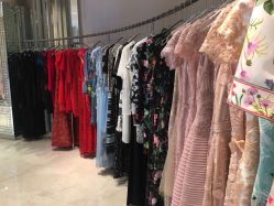 -TADASHI SHOJI(中国旗舰店)