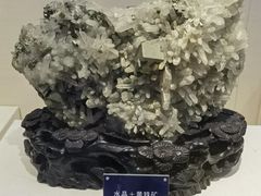 -安徽省地质博物馆