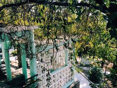 -观象山公园