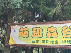 -武陵山森林公园