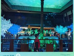 -上海环球金融中心骑迹50年环球之旅