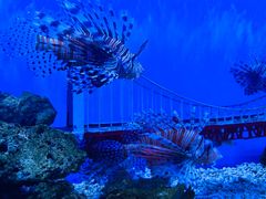 -太平洋海底世界