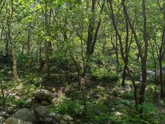 -玉渡山自然风景区