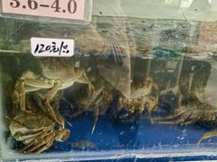 -阳澄湖大闸蟹·琼灵阁牌品牌连锁(吴中总店)
