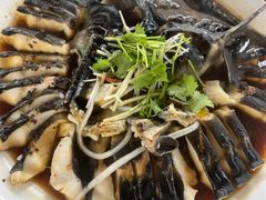 -京北渔家傲