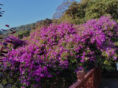 -广州市石门国家森林公园