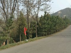 -龙口南山旅游景区