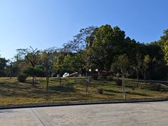 -三水森林公园