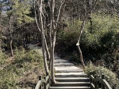 -南京市无想山景区