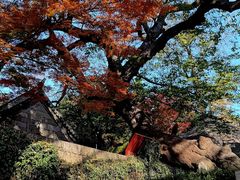 -青岛崂山太清宫