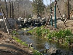 -白水寺森林公园