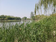 -大兴滨河森林公园