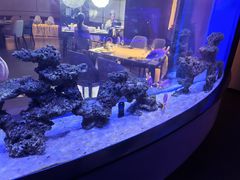 -上和臻品中国菜(花园街店)