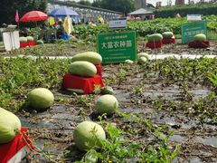 -长春农业博览园