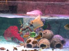 -沈阳海洋探索中心