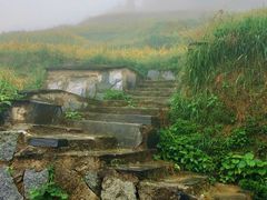 -紫鹊界梯田景区