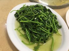 炒番薯叶-红炎炎农家菜老字号(金水台店)