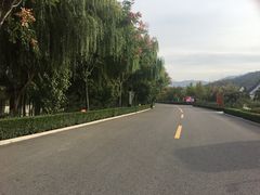 -龙口南山旅游景区