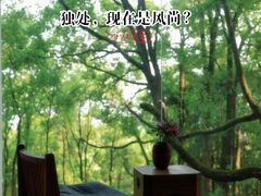 -南山植物园